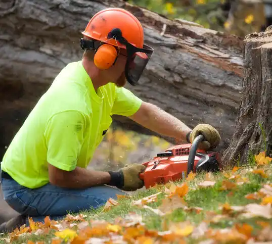 tree services Harrodsburg